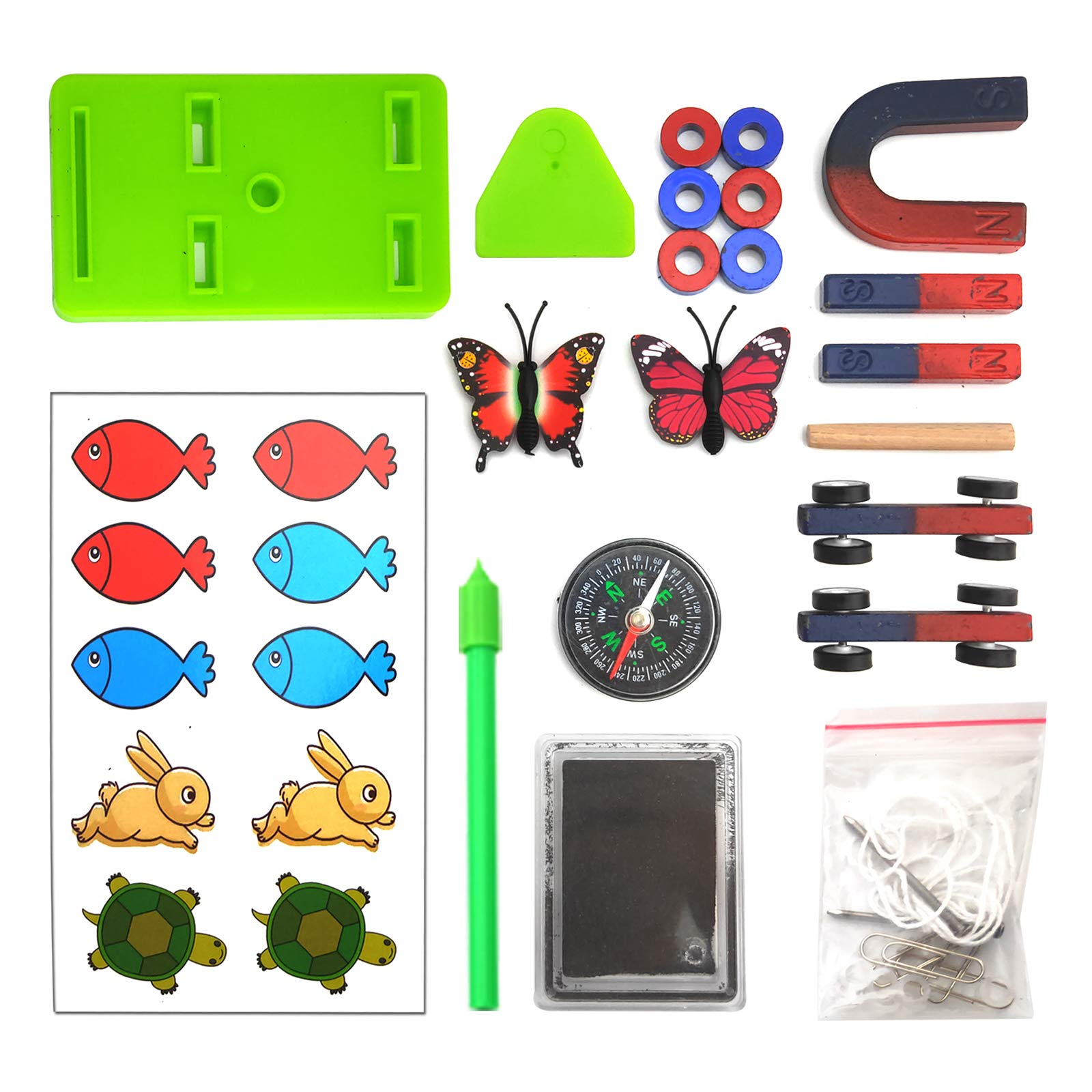 Amazon.com: EUDAX Labs Junior Science N/S Magnet Set for Education